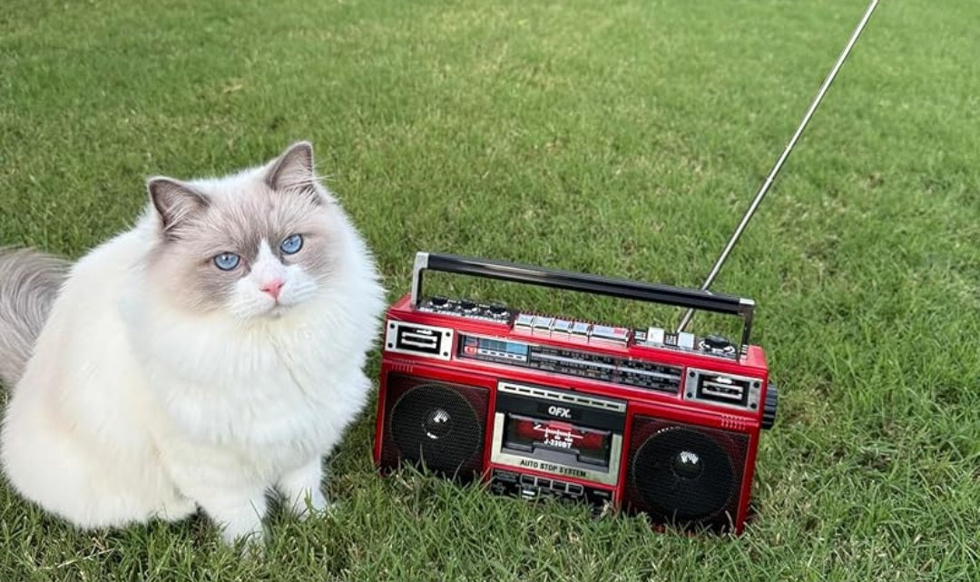 Retro BoomBox — Bluetooth Cassette Radio